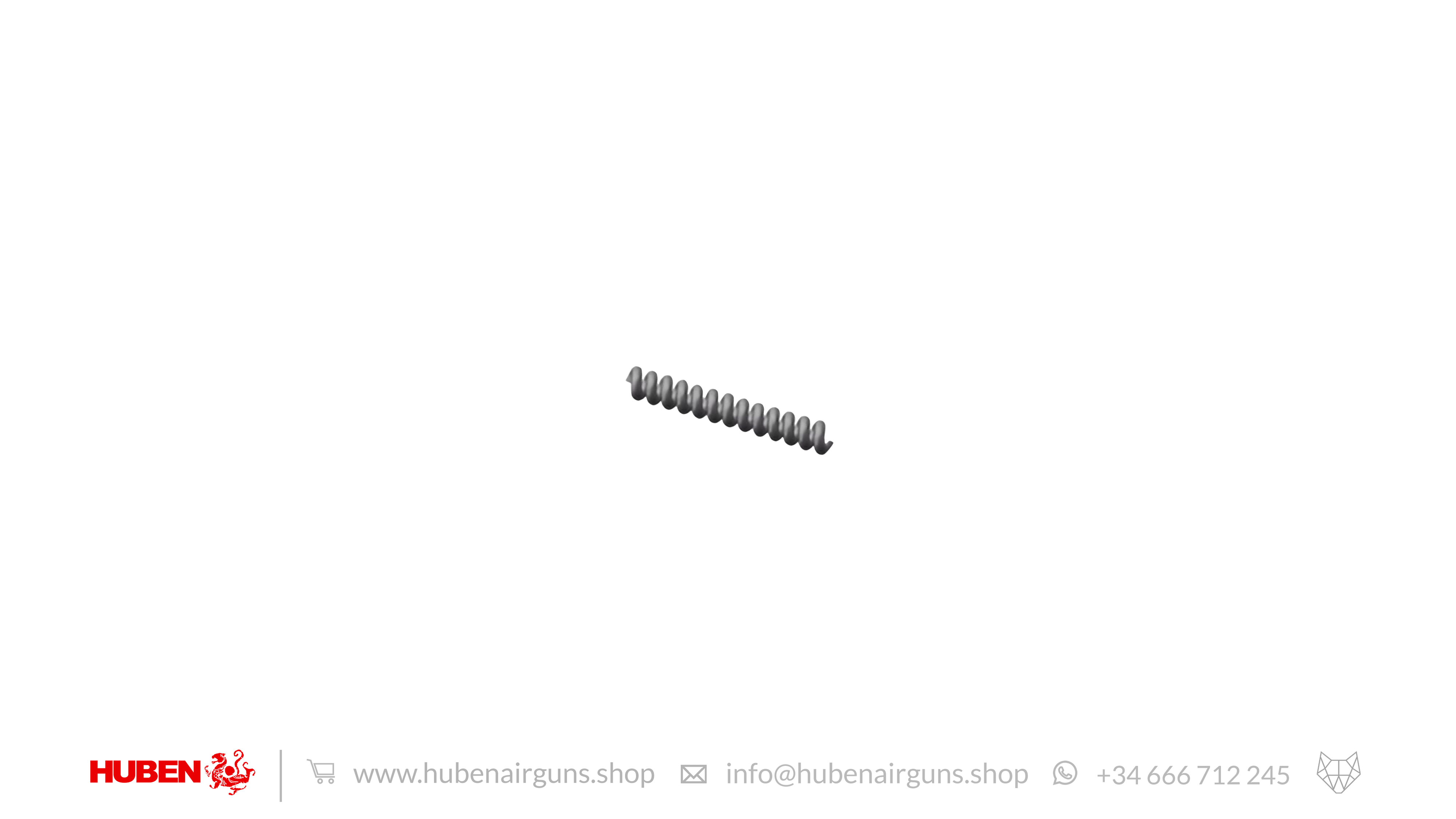 Striker Spring 5x31x0.8