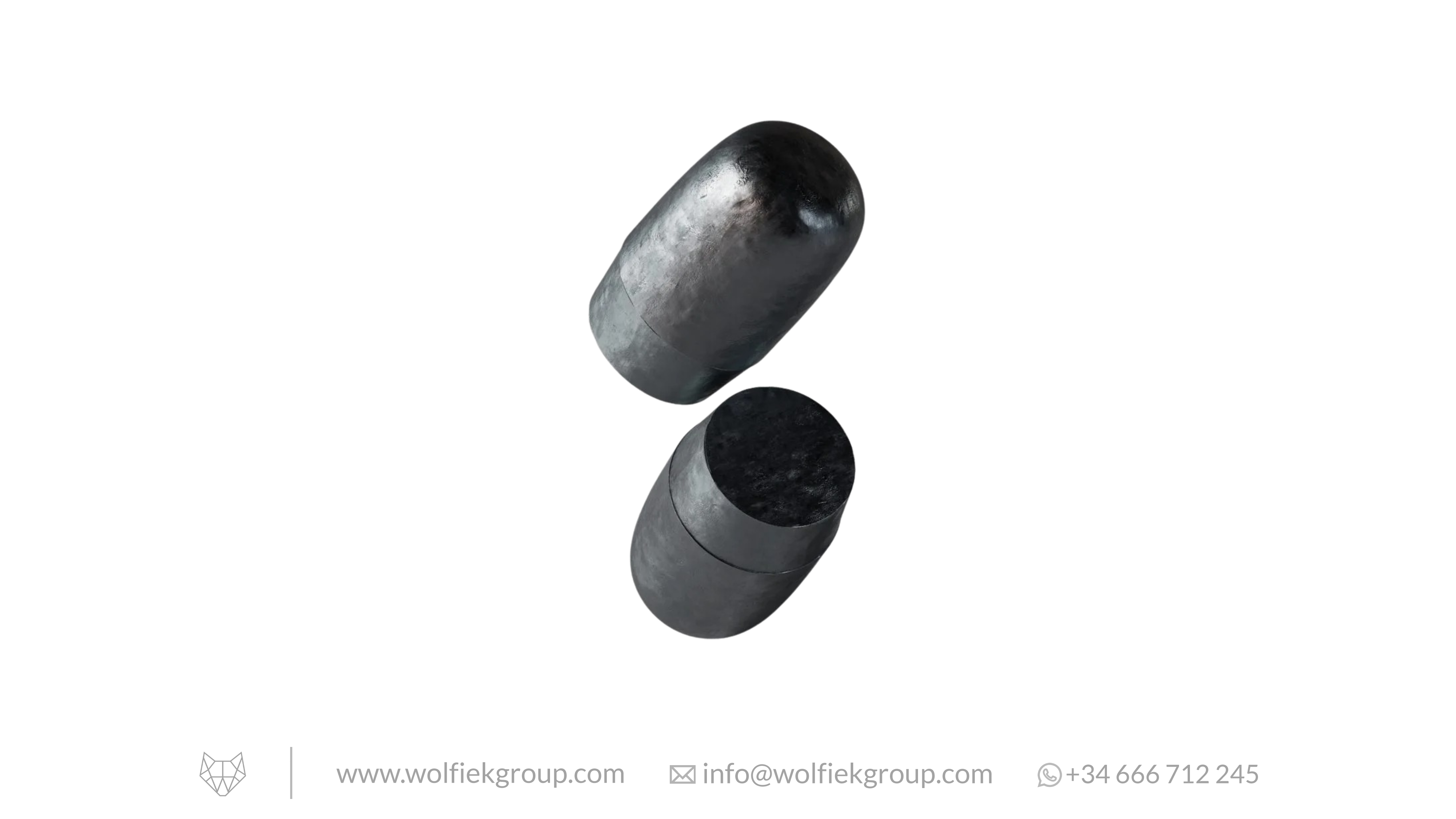 Zan Projectiles Airgun Slugs ELR - Cal. 25 (6.5mm) - 3.97g (61.3gr)