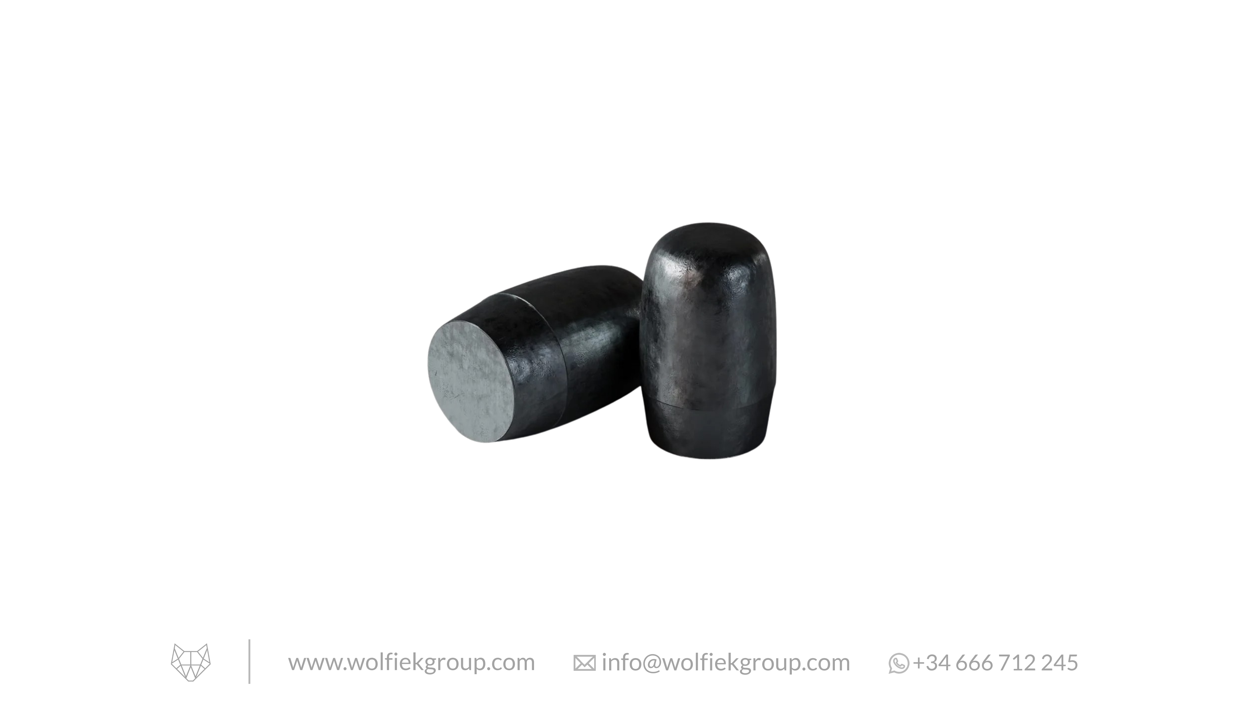 Zan Projectiles Airgun Slugs ELR - Cal. 25 (6.5mm) - 3.97g (61.3gr)