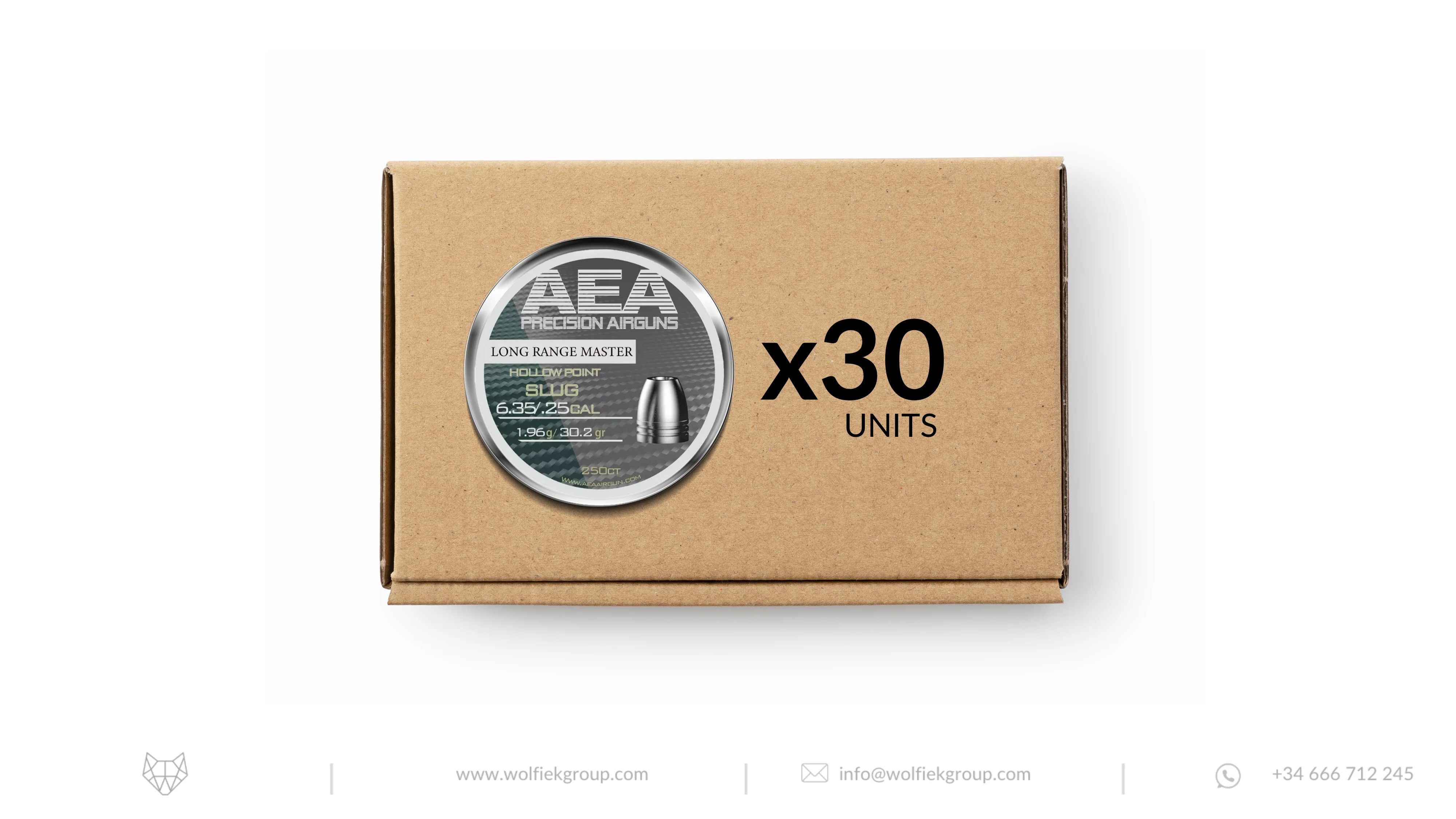 AEA Master Box Exact Slug Hollow Point - Cal .25 (6.35mm) | 1.96g (30.2gr)