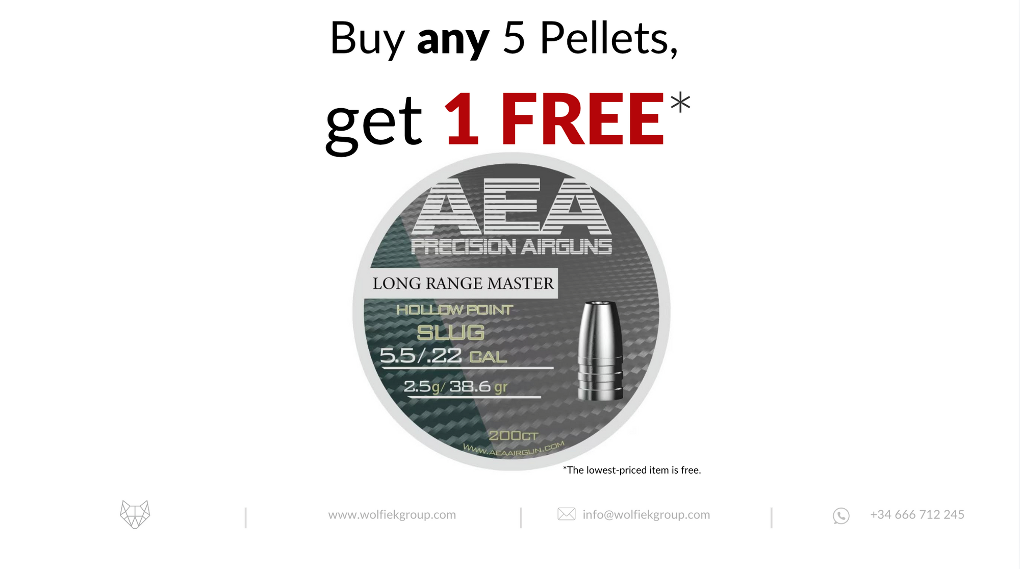 AEA · Long Range Master Hollow Point Slugs · Cal .25 (6.35mm) · Weight 2.5g (38.6gr)