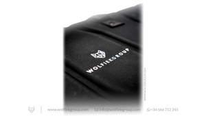 WG · Airgun Case