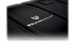 WG · Airgun Case