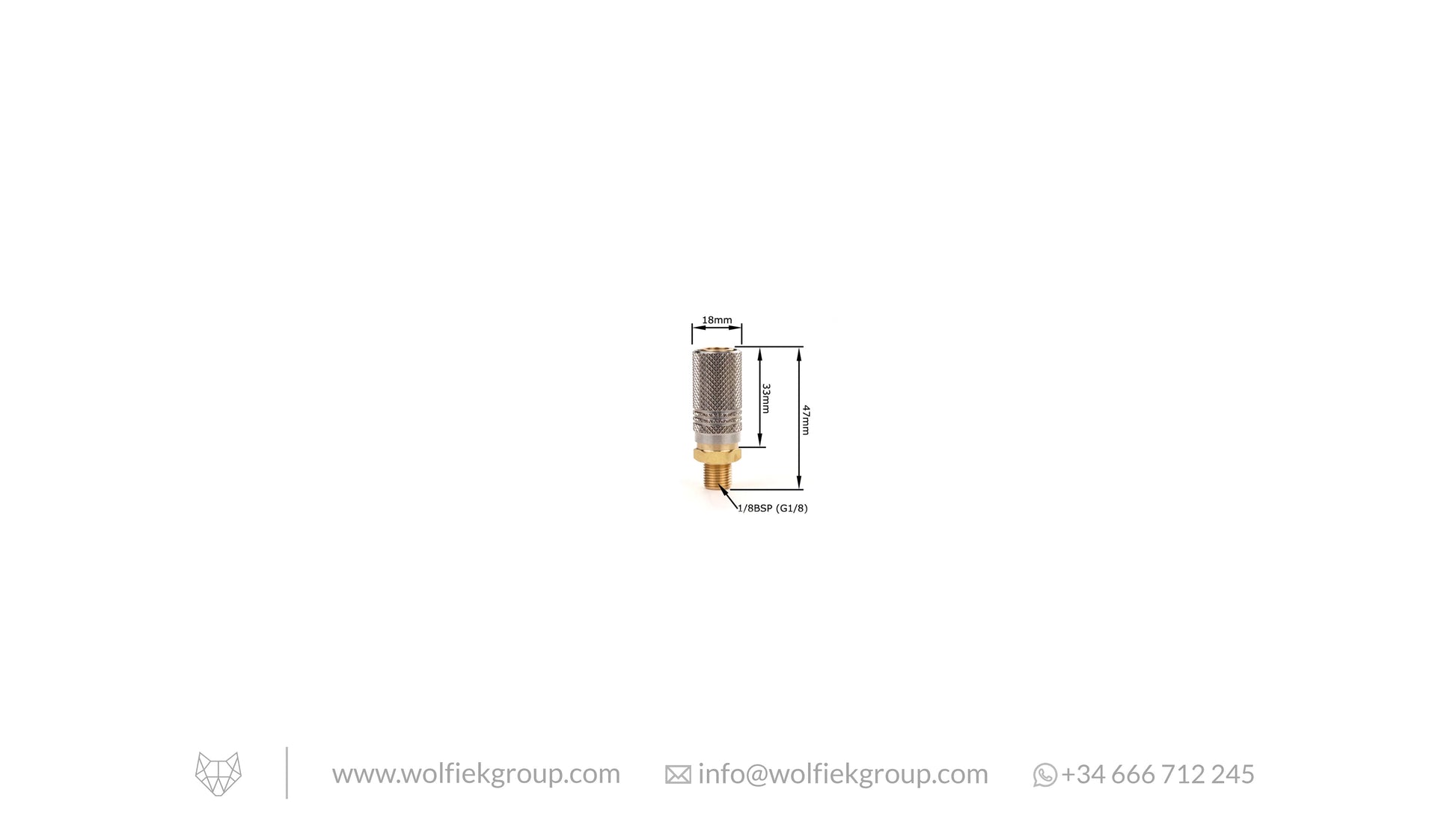 1/8 BSP Male to Foster Female