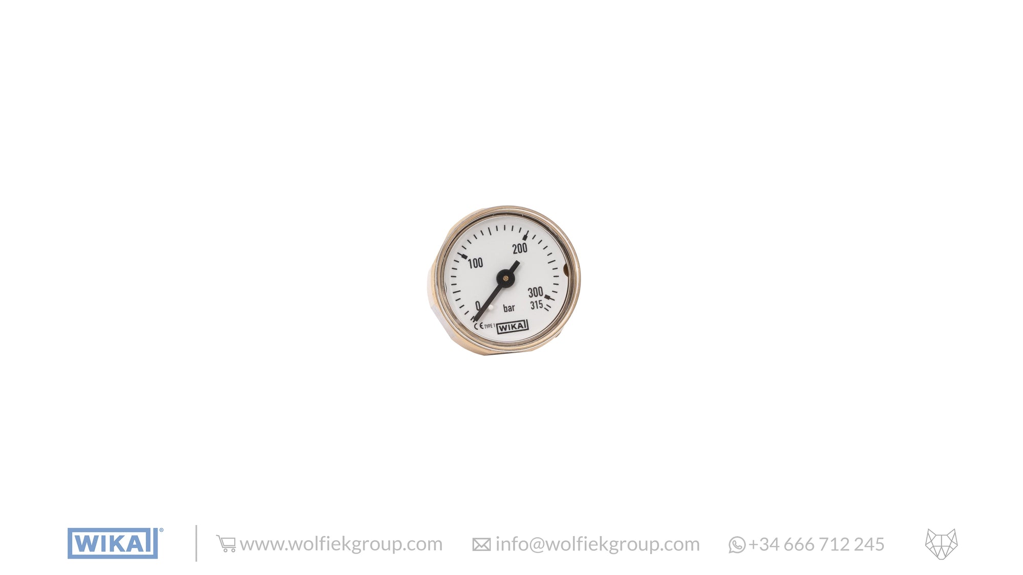 WIKA Analogue Gauge (0-315 BAR) in white